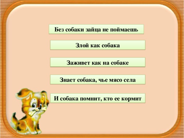 Без собаки зайца не поймаешь Злой как собака Заживет как на собаке Знает собака, чье мясо села И собака помнит, кто ее кормит