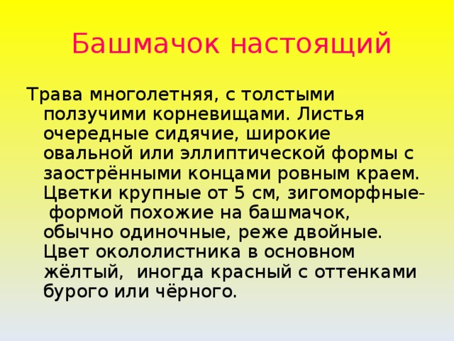 Башмачок настоящий Трава многолетняя, с толстыми ползучими корневищами. Листья очередные сидячие, широкие овальной или эллиптической формы с заострёнными концами ровным краем. Цветки крупные от 5 см, зигоморфные- формой похожие на башмачок, обычно одиночные, реже двойные. Цвет окололистника в основном жёлтый, иногда красный с оттенками бурого или чёрного.