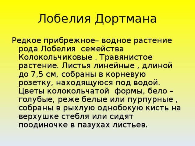 Лобелия Дортмана Редкое прибрежное– водное растение рода Лобелия семейства Колокольчиковые . Травянистое растение. Листья линейные , длиной до 7,5 см, собраны в корневую розетку, находящуюся под водой. Цветы колокольчатой формы, бело –голубые, реже белые или пурпурные , собраны в рыхлую однобокую кисть на верхушке стебля или сидят поодиночке в пазухах листьев.