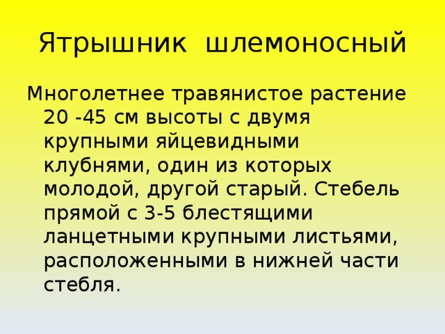 Ятрышник шлемоносный Многолетнее травянистое растение 20 -45 см высоты с двумя крупными яйцевидными клубнями, один из которых молодой, другой старый. Стебель прямой с 3-5 блестящими ланцетными крупными листьями, расположенными в нижней части стебля.