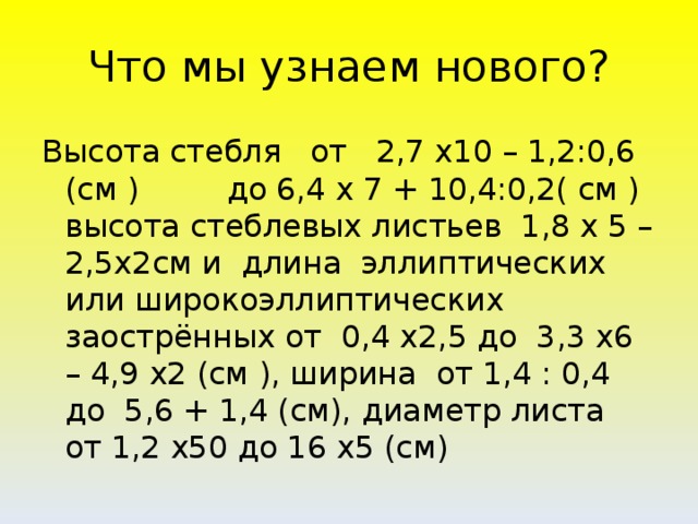 Что мы узнаем нового? Высота стебля от 2,7 х10 – 1,2:0,6 (см ) до 6,4 х 7 + 10,4:0,2( см ) высота стеблевых листьев 1,8 х 5 –2,5х2см и длина эллиптических или широкоэллиптических заострённых от 0,4 х2,5 до 3,3 х6 – 4,9 х2 (см ), ширина от 1,4 : 0,4 до 5,6 + 1,4 (см), диаметр листа от 1,2 х50 до 16 х5 (см)