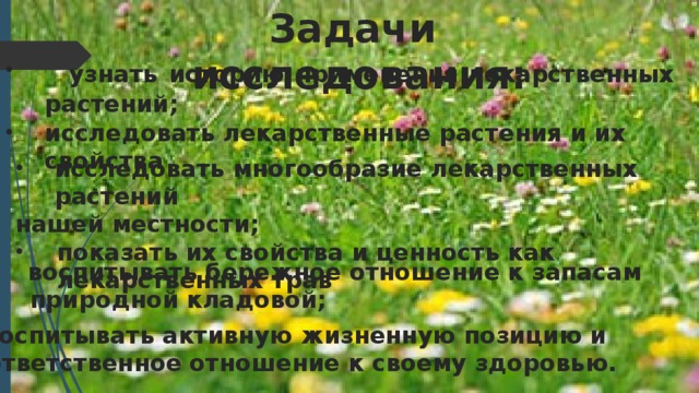 Задачи исследования:  узнать  историю  применения лекарственных растений;       исследовать лекарственные растения и их свойства   исследовать многообразие лекарственных растений нашей местности; показать их свойства и ценность как лекарственных трав  воспитывать бережное отношение к запасам  природной кладовой; воспитывать активную жизненную позицию и  ответственное отношение к своему здоровью.