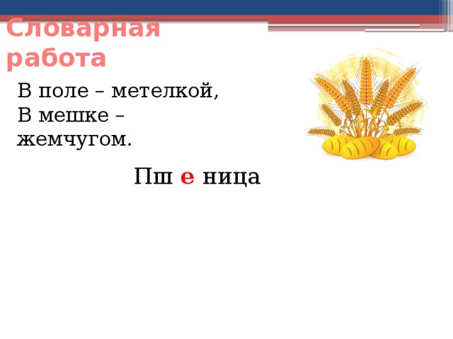 Словарная работа В поле – метелкой, В мешке – жемчугом. Пш ница е