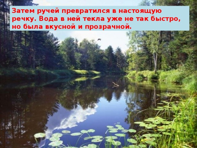 Затем ручей превратился в настоящую речку. Вода в ней текла уже не так быстро, но была вкусной и прозрачной.