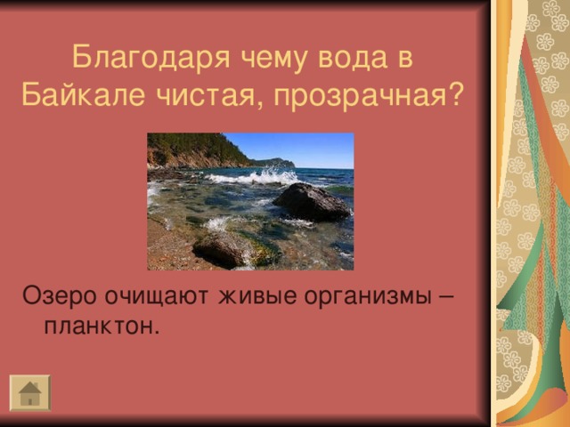 Благодаря чему вода в Байкале чистая, прозрачная? Озеро очищают живые организмы – планктон.