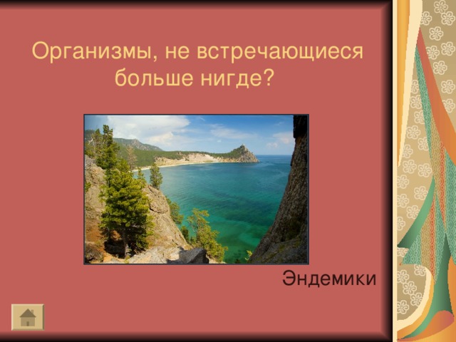 Организмы, не встречающиеся больше нигде? Эндемики