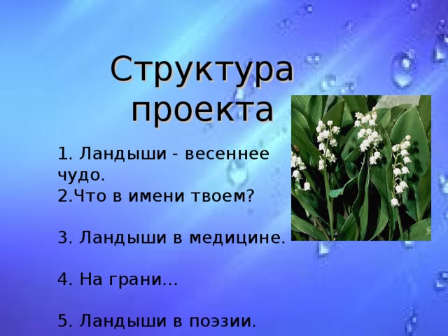 Структура проекта 1. Ландыши - весеннее чудо. 2.Что в имени твоем? 3. Ландыши в медицине. 4. На грани… 5. Ландыши в поэзии. 6. Легенды, мифы о ландышах