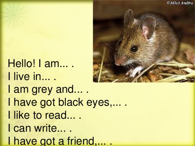 Hello! I am... .  I live in... .  I am grey and... .  I have got black eyes,... .  I like to read... .  I can write... .  I have got a friend,... .