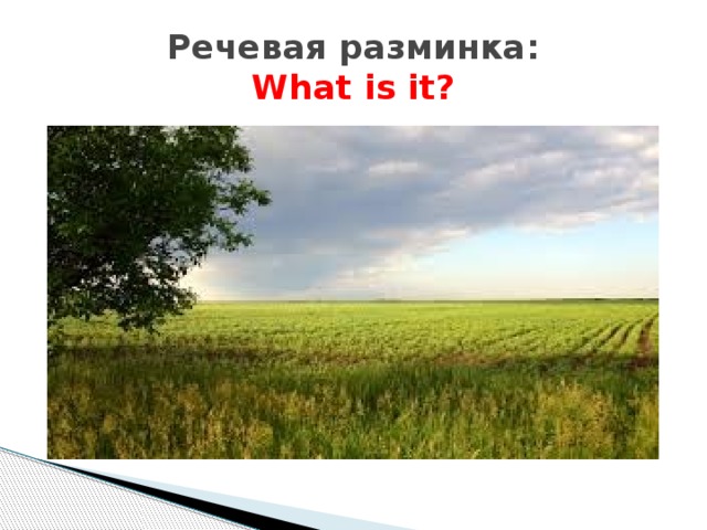 Речевая разминка:  What is it?