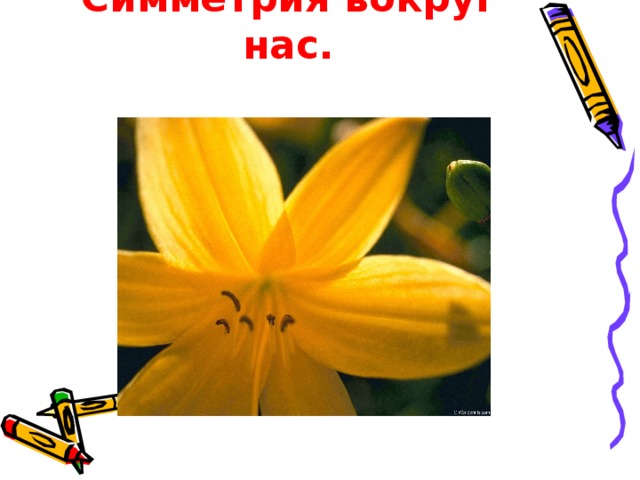 Симметрия вокруг нас.