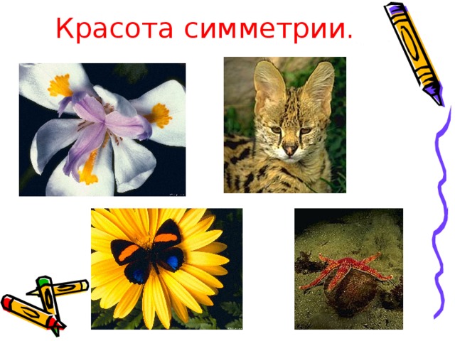 Красота симметрии.