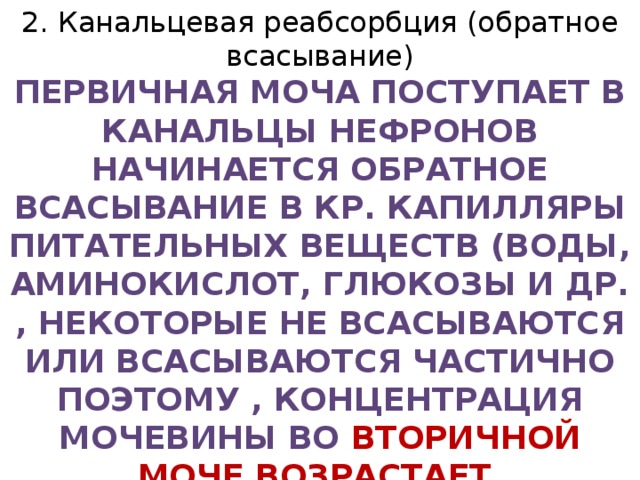 2. Канальцевая реабсорбция (обратное всасывание) Первичная моча поступает в канальцы нефронов начинается Обратное всасывание в кр. Капилляры питательных Веществ (воды, аминокислот, глюкозы и др. , некоторые не всасываются или всасываются частично поэтому , Концентрация мочевины во вторичной моче возрастает