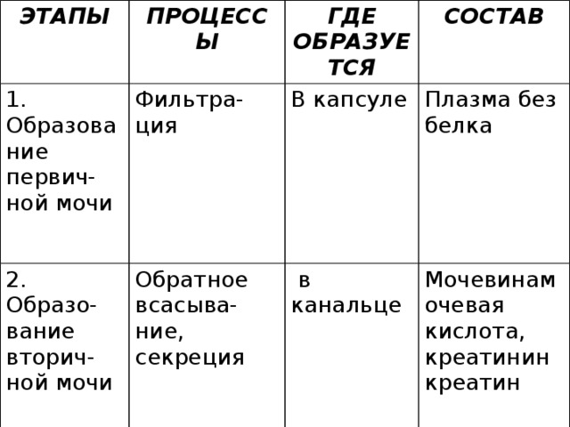 ЭТАПЫ ПРОЦЕССЫ 1. Образование первич-ной мочи ГДЕ ОБРАЗУЕТСЯ Фильтра-ция 2. Образо-вание вторич-ной мочи СОСТАВ В капсуле Обратное всасыва-ние, секреция Плазма без белка  в канальце Мочевинамочевая кислота, креатинин креатин