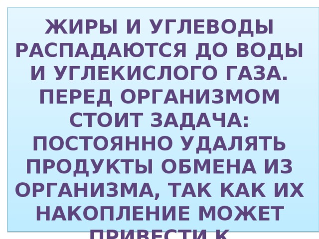 Жиры и углеводы распадаются до воды и углекислого газа. Перед организмом стоит задача: постоянно удалять продукты обмена из организма, так как их накопление может привести к заболеваниям и даже к гибели.