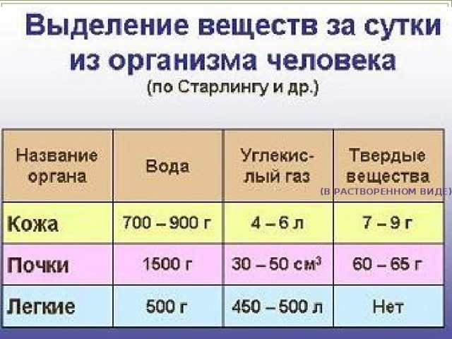 Легкие человека.  (В растворенном виде) Кожа Человека