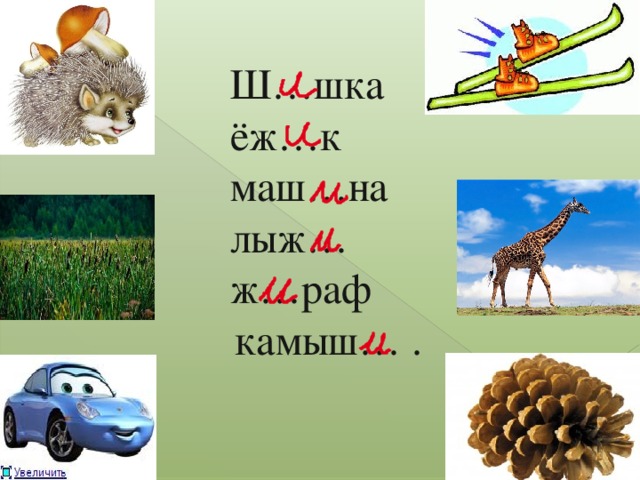 Ш…шка  ёж…к  маш…на  лыж…  ж…раф камыш… .