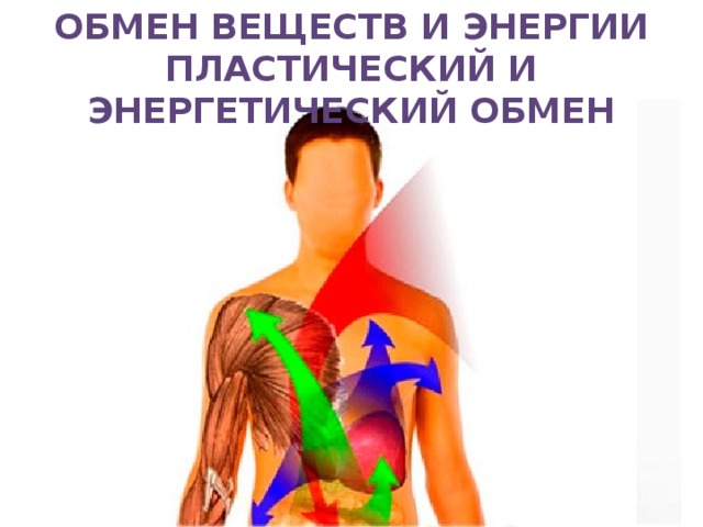 Обмен веществ и энергии Пластический и энергетический обмен