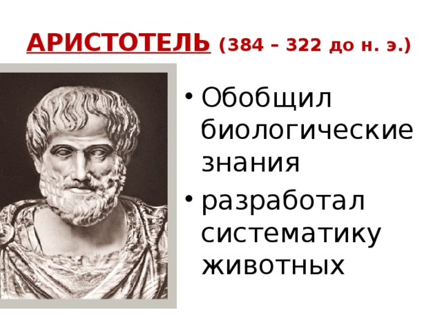 АРИСТОТЕЛЬ  (384 – 322 до н. э.)