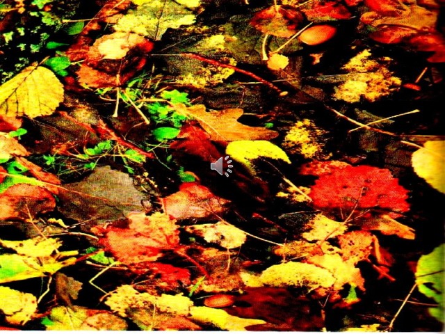 Сочинение По Фото Опавшие Осенние Листья