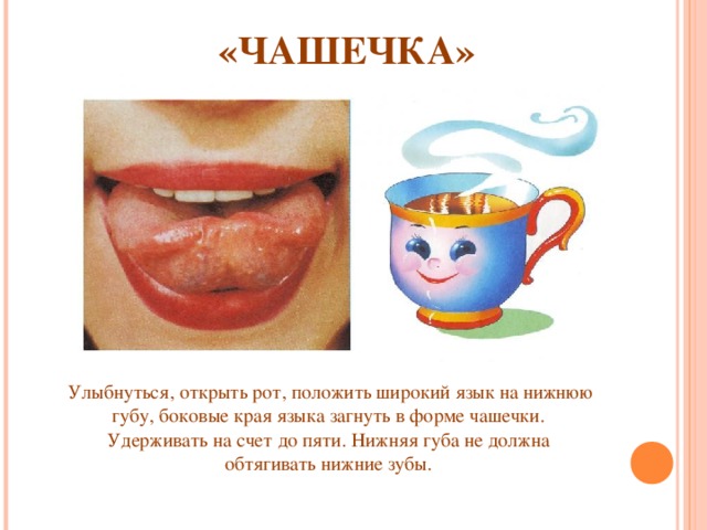 «ЧАШЕЧКА»   Улыбнуться, открыть рот, положить широкий язык на  нижнюю губу, боковые края языка загнуть в форме чашечки. Удерживать на счет до пяти. Нижняя губа не должна обтягивать нижние зубы.