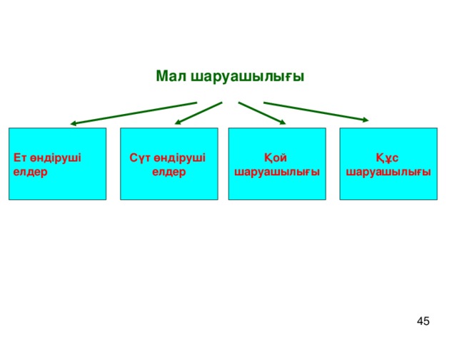 Мал шаруашылығы Ет өндіруші елдер Сүт өндіруші елдер Қой шаруашылығы Құс шаруашылығы АҚШ, Қытай, Аргентина, Ресей, Бразилия АҚШ, Ресей, Бразилия Аустралия, Қытай Қытай, АҚШ, Ресей