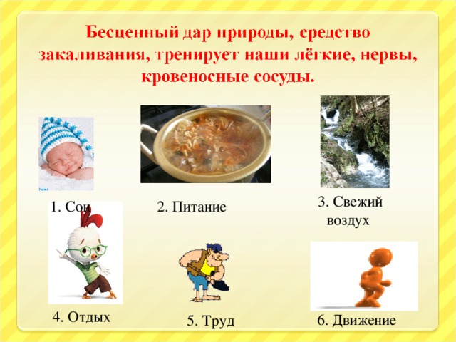 3. Свежий воздух 2. Питание 1. Сон 4. Отдых 6. Движение 5. Труд 11 11