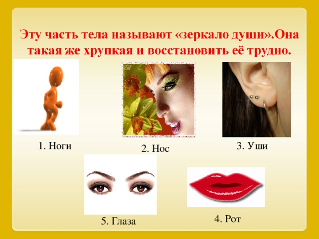 1. Ноги 3. Уши 2. Нос 4. Рот 5. Глаза 15 15