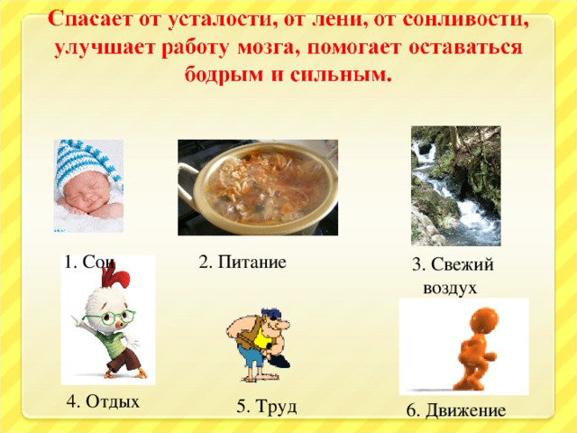 1. Сон 2. Питание 3. Свежий воздух 4. Отдых 5. Труд 6. Движение 9 9