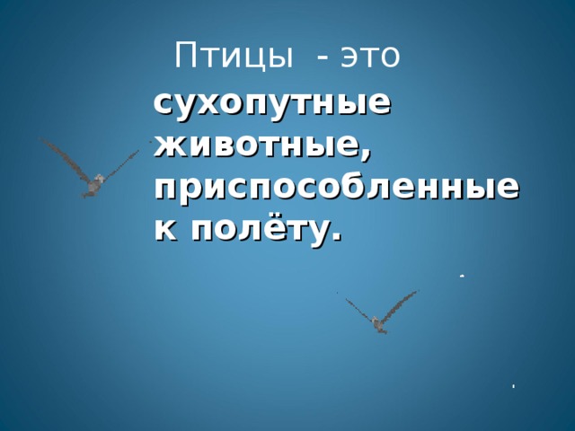 Птицы - это сухопутные животные, приспособленные к полёту.