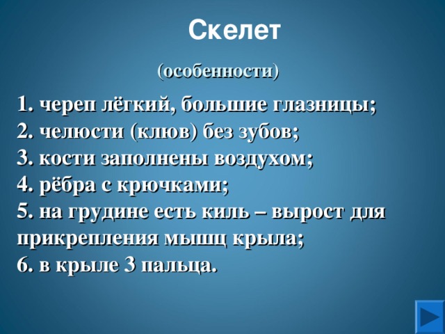 Скелет (особенности) 1. череп лёгкий, большие глазницы; 2. челюсти (клюв) без зубов; 3. кости заполнены воздухом; 4. рёбра с крючками; 5. на грудине есть киль – вырост для прикрепления мышц крыла; 6. в крыле 3 пальца.