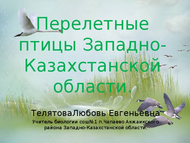 Перелетные птицы Западно-Казахстанской области. ТелятоваЛюбовь Евгеньевна Учитель биологии сош№1 п.Чапаево Акжаикского района Западно-Казахстанской области.