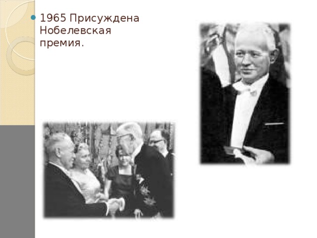 1965 Присуждена Нобелевская премия.