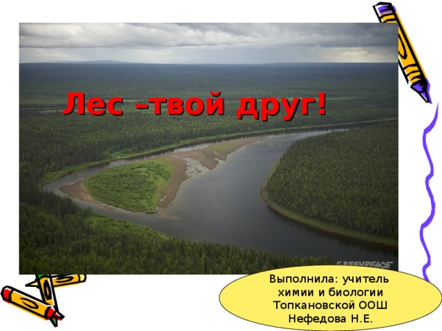 Лес –твой друг! Выполнила: учитель химии и биологии Топкановской ООШ Нефедова Н.Е.