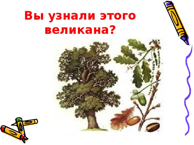 Вы узнали этого великана?