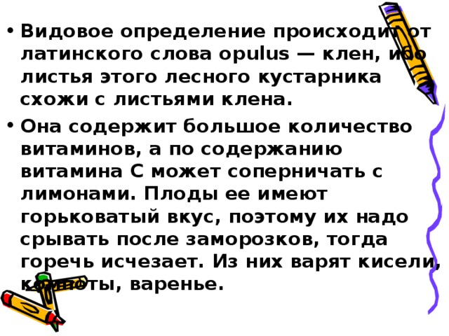 Видовое определение происходит от латинского слова opulus — клен, ибо листья этого лесного кустарника схожи с листьями клена. Она содержит большое количество витаминов, а по содержанию витамина С может соперничать с лимонами. Плоды ее имеют горьковатый вкус, поэтому их надо срывать после заморозков, тогда горечь исчезает. Из них варят кисели, компоты, варенье.