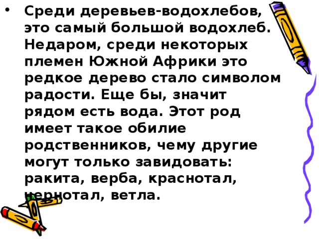 Среди деревьев-водохлебов, это самый большой водохлеб. Недаром, среди некоторых племен Южной Африки это редкое дерево стало символом радости. Еще бы, значит рядом есть вода. Этот род имеет такое обилие родственников, чему другие могут только завидовать: ракита, верба, краснотал, чернотал, ветла.