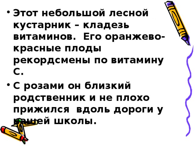 Этот небольшой лесной кустарник – кладезь витаминов. Его оранжево-красные плоды рекордсмены по витамину С. С розами он близкий родственник и не плохо прижился вдоль дороги у нашей школы.