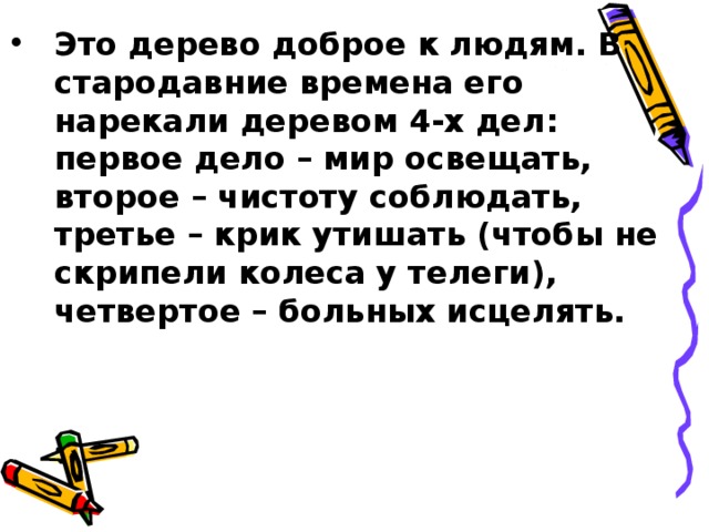 Это дерево доброе к людям. В стародавние времена его нарекали деревом 4-х дел: первое дело – мир освещать, второе – чистоту соблюдать, третье – крик утишать (чтобы не скрипели колеса у телеги), четвертое – больных исцелять.