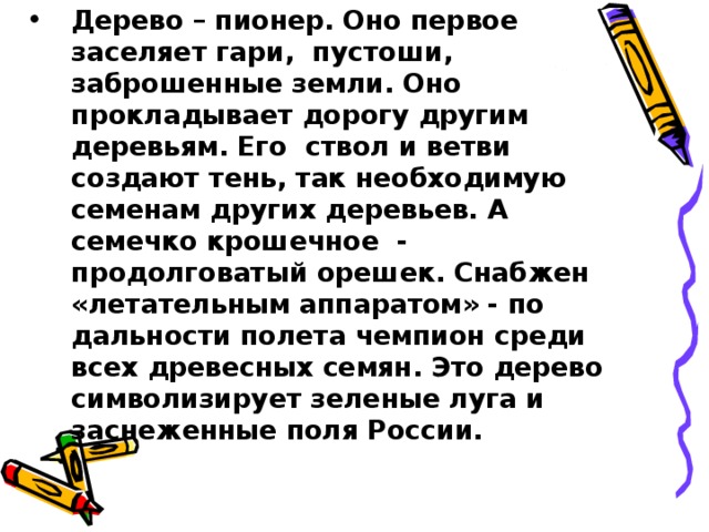 Дерево – пионер. Оно первое заселяет гари, пустоши, заброшенные земли. Оно прокладывает дорогу другим деревьям. Его ствол и ветви создают тень, так необходимую семенам других деревьев. А семечко крошечное - продолговатый орешек. Снабжен «летательным аппаратом» - по дальности полета чемпион среди всех древесных семян. Это дерево символизирует зеленые луга и заснеженные поля России.