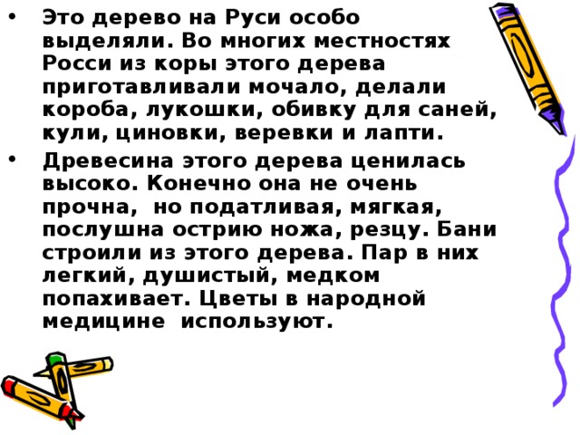 Это дерево на Руси особо выделяли. Во многих местностях Росси из коры этого дерева приготавливали мочало, делали короба, лукошки, обивку для саней, кули, циновки, веревки и лапти. Древесина этого дерева ценилась высоко. Конечно она не очень прочна, но податливая, мягкая, послушна острию ножа, резцу. Бани строили из этого дерева. Пар в них легкий, душистый, медком попахивает. Цветы в народной медицине используют.