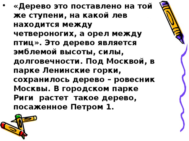 «Дерево это поставлено на той же ступени, на какой лев находится между четвероногих, а орел между птиц». Это дерево является эмблемой высоты, силы, долговечности. Под Москвой, в парке Ленинские горки, сохранилось дерево – ровесник Москвы. В городском парке Риги растет такое дерево, посаженное Петром 1.