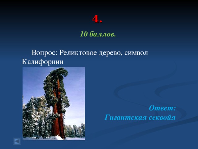 4.   10 баллов.   Вопрос: Реликтовое дерево, символ Калифорнии     Ответ: Гигантская секвойя