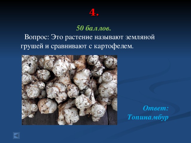 4. 50 баллов.  Вопрос: Это растение называют земляной грушей и сравнивают с картофелем.  Ответ: Топинамбур