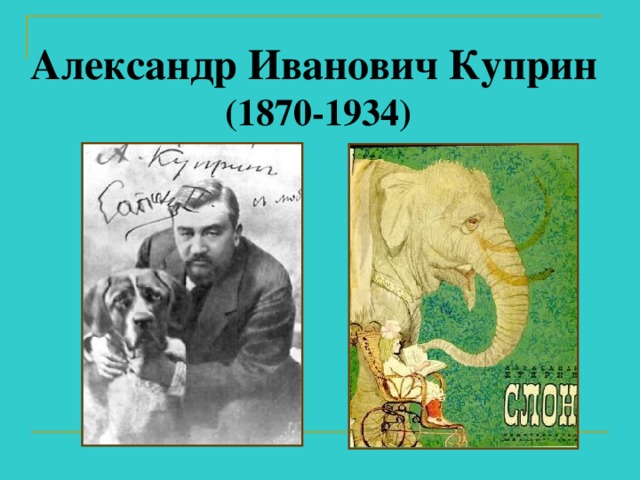 Александр Иванович Куприн  (1870-1934)