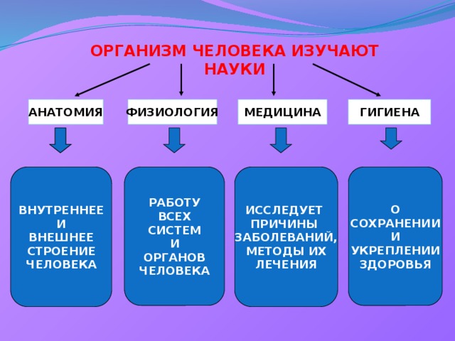 ОРГАНИЗМ ЧЕЛОВЕКА ИЗУЧАЮТ НАУКИ АНАТОМИЯ ФИЗИОЛОГИЯ ГИГИЕНА МЕДИЦИНА ВНУТРЕННЕЕ  И  ВНЕШНЕЕ  СТРОЕНИЕ  ЧЕЛОВЕКА РАБОТУ О  СОХРАНЕНИИ  И  УКРЕПЛЕНИИ  ЗДОРОВЬЯ ИССЛЕДУЕТ ВСЕХ ПРИЧИНЫ СИСТЕМ ЗАБОЛЕВАНИЙ, И МЕТОДЫ ИХ ОРГАНОВ ЛЕЧЕНИЯ ЧЕЛОВЕКА