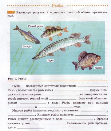 Рыбы задания. Задания по биологии по теме рыбы. Строение туловища рыбы. Рыбка задание по биологии.