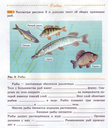 Тест рыбы 7 класс биология с ответами. Рыбы задания. Задания по биологии по теме рыбы. Строение туловища рыбы. Рыбка задание по биологии.
