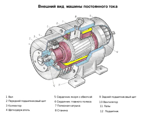 Внешний вид машины постоянного тока 1 Вал 5 Сердечник якоря с обмоткой 9 Задний подшипниковый щит 2 Передний подшипниковый щит 6 Сердечник главного полюса 10 Вентилятор 3 Коллектор 7 Полюсная катушка 11 Лапы 4 Щеткодержатель 8 Станина 12 Подшипник