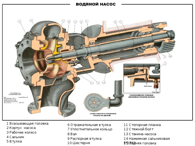 1 Всасывающая головка 6 Отражательная втулка 11 Стопорная планка 2 Корпус насоса 7 Уплотнительное кольцо 12 Стяжной болт 3 Рабочее колесо 8 Вал 13 Станина насоса 4 Сальник 9 Распорная втулка 14 Нажимная сальниковая втулка 5 Втулка 10 Шестерня 15 Задняя головка