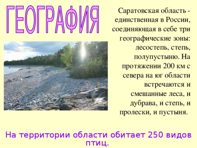 Саратовская область - единственная в России, соединяющая в себе три географические зоны: лесостепь, степь, полупустыню. На протяжении 200 км с севера на юг области встречаются и смешанные леса, и дубрава, и степь, и пролески, и пустыня.  На территории области обитает 250 видов птиц.